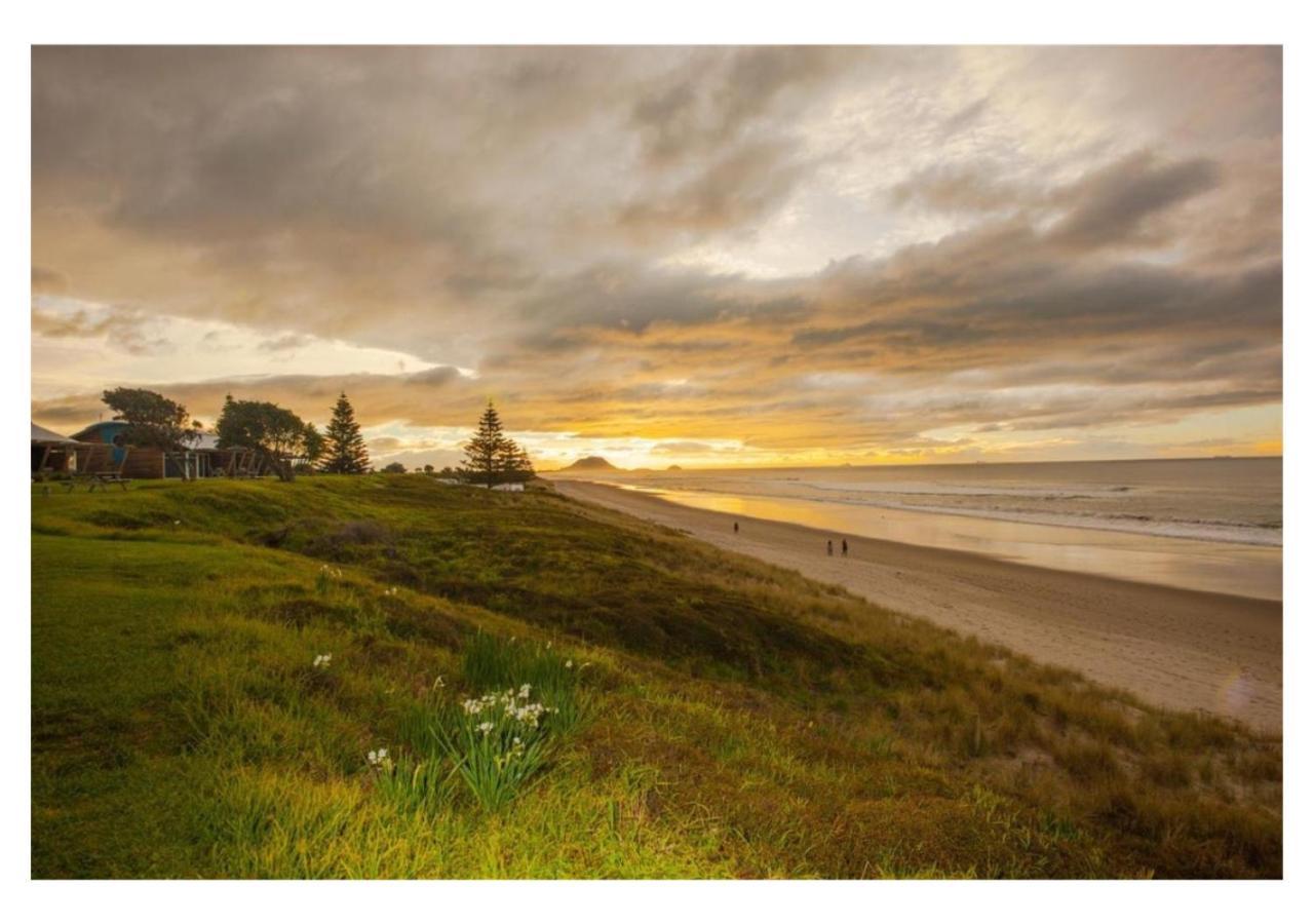 Cabbage Tree - Summer Or Winter Beachfront Haven Papamoa Buitenkant foto